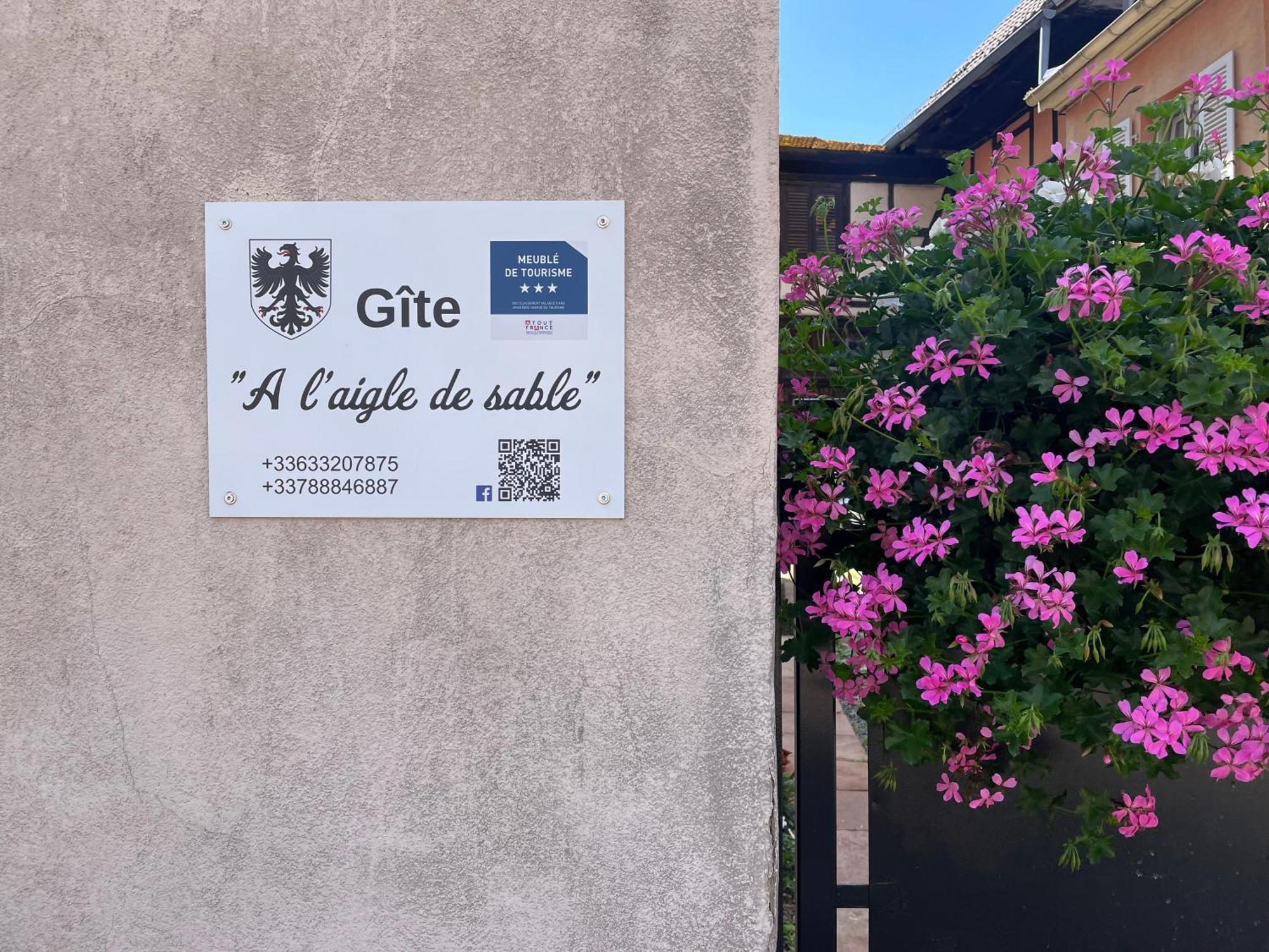 Gite A L'Aigle De Sable 坎特赞 外观 照片